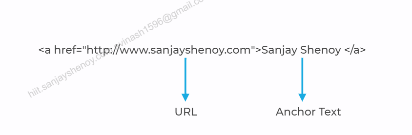 Anchor Text and URL 